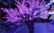 Светодиодные деревья LED 10524 - 10531