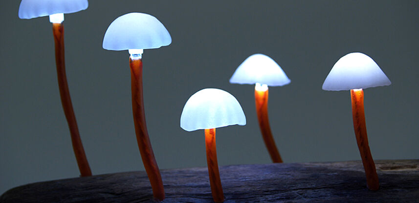 Мы начинаем выпускать светодиодные грибы