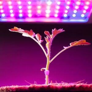Светодиодные фитолампы для растений, лампы для фитосветильников